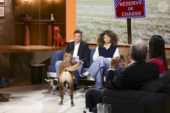Bernard Montiel et Oli sur plateau de l'émission "Animalement Vôtre" présentée par B.Montiel et diffusée le 25 janvier 2026 sur France 3, à Paris, France, le 3 décembre 2025. © Jack Tribeca/Bestimage