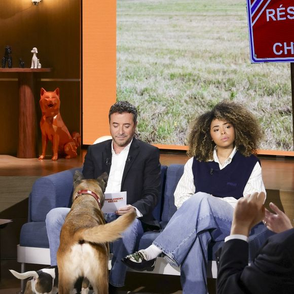 Bernard Montiel et Oli sur plateau de l'émission "Animalement Vôtre" présentée par B.Montiel et diffusée le 25 janvier 2026 sur France 3, à Paris, France, le 3 décembre 2025. © Jack Tribeca/Bestimage