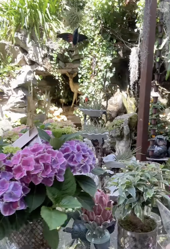 Hautjardin propose des plantes d’intérieur et d’extérieur, des végétaux méditerranéens, des plantes suspendues, mais aussi une grande variété d’objets décoratifs destinés aux jardins et aux maisons.

Instagram hautjardin_steevy