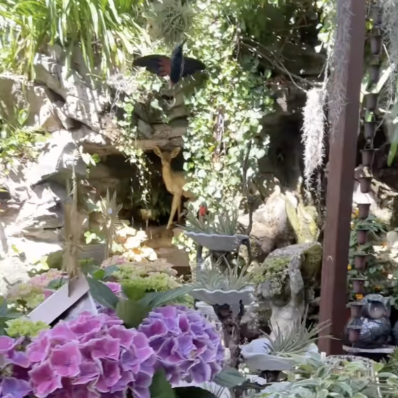 Hautjardin propose des plantes d’intérieur et d’extérieur, des végétaux méditerranéens, des plantes suspendues, mais aussi une grande variété d’objets décoratifs destinés aux jardins et aux maisons.

Instagram hautjardin_steevy