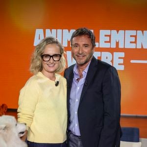 Caroline Roux évoquera son rapport aux animaux, une rencontre qui promet douceur… et discussions engagées.

Exclusif - Caroline Roux, sur plateau de la nouvelle émission "Animalement Vôtre" présentée par Bernard Montiel et diffusée le 30 novembre sur France 3, à Paris, France, le 14 octobre 2025. © Jack Tribeca/Bestimage