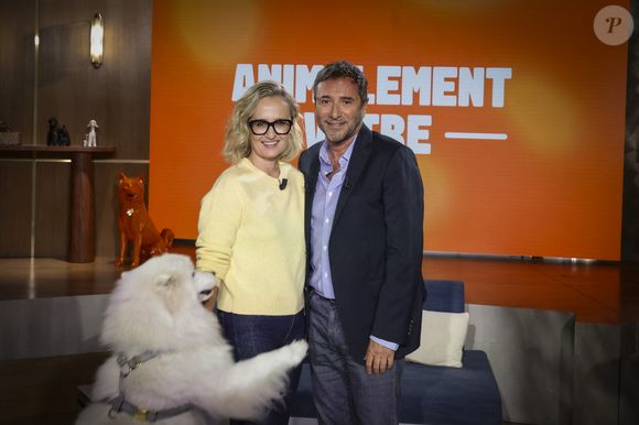 Caroline Roux évoquera son rapport aux animaux, une rencontre qui promet douceur… et discussions engagées.

Exclusif - Caroline Roux, sur plateau de la nouvelle émission "Animalement Vôtre" présentée par Bernard Montiel et diffusée le 30 novembre sur France 3, à Paris, France, le 14 octobre 2025. © Jack Tribeca/Bestimage