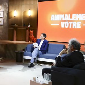 Chaque numéro mêle reportages, chroniques pratiques, portraits et témoignages inédits.

Exclusif - Jamy Gourmaud et Bernard Montiel sur plateau de l'émission "Animalement Vôtre" présentée par B.Montiel et diffusée le 4 janvier 2026 sur France 3, à Paris, France, le 3 décembre 2025. © Jack Tribeca/Bestimage
