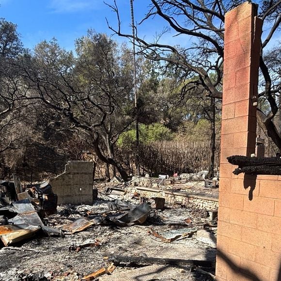 De nouvelles images révèlent les conséquences dévastatrices des incendies d'Altadena sur la propriété de Haley Joel Osment. La maison de l'acteur a été gravement endommagée, des restes calcinés et des débris tachés de fumée étant visibles sur tout le site.
©Backgrid USA / Bestimage