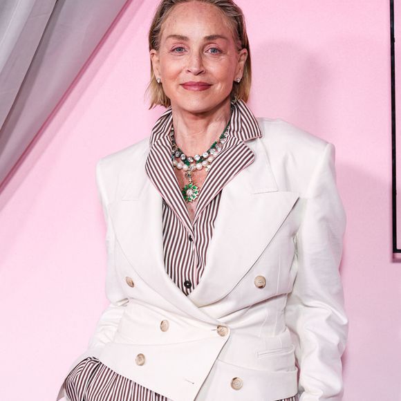 Une attention de chaque instant qui l'a obligée, à l'époque, à revoir toute l'organisation de son espace de travail pour ne jamais s'éloigner de ses garçons. 

Sharon Stone au photocall de la cérémonie des Fashion Trust U.S. Awards 2026, en partenariat avec Google, aux studios nya WEST à Los Angeles, Californie, États-Unis, le 7 avril 2026. © Chad Salvador/Image Press Agency/Backgrid/Bestimage