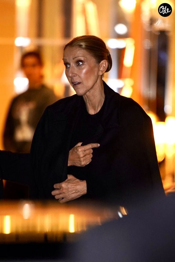 Pour son retour sur scène, Céline Dion mise également sur des créations de grandes maisons et des bijoux spectaculaires, comme le collier « The Address » de Boucheron.

La chanteuse Céline Dion est aperçue en train d’échanger avec des fans alors qu’elle arrive au Royal Monceau, à Paris, en France.