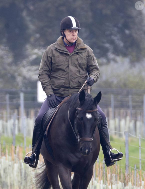 Le prince Andrew, duc d’York, se balade à cheval avec un ami dans le parc du château de Windsor. Dana Press / Bestimage