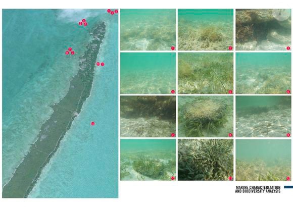Celui qui a également acheté une superbe maison à Los Angeles en 2018 avait pour ambition de transformer son île de 42 hectares environ en un eco-resort

Exclusif - Vues aériennes de Blackadore Caye, l'île privée au large des côtes du Belize que l'acteur et environnementaliste Leonardo DiCaprio a achetée en 2015 pour 1,75 million de dollars. Les plans de DiCaprio pour l'île comprennent une station de recherche axée sur le changement climatique, un hôtel, 36 bungalows de villégiature et 36 villas immobilières. Le complexe devait ouvrir ses portes en 2018, puis à nouveau en 2020, mais comme ces images exclusives le montrent, les seules structures de l'île semblent être un hangar et une petite cabane ombragée. L'île est bordée de palmiers mourants et le rivage est recouvert d'algues vertes à Blackadore Caye, au Belize, le 5 juin 2021. Coleman-Rayner / Bestimage