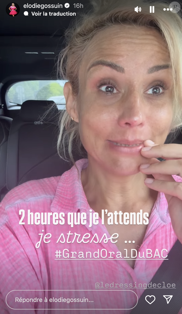 Capture d'écran de la story Instagram d'Elodie Gossuin.