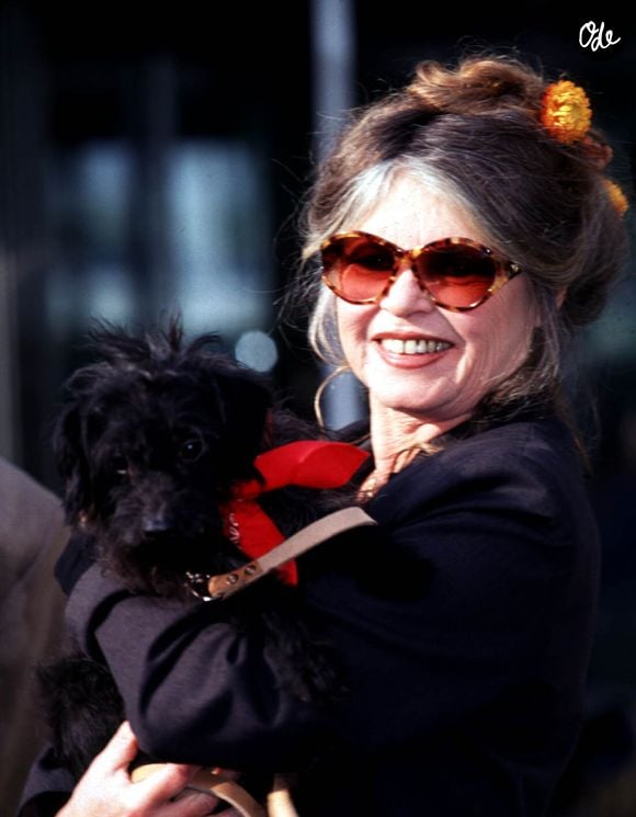 Archives - Brigitte Bardot souriante.

© Bestimage