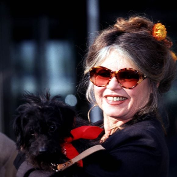 Archives - Brigitte Bardot souriante.

© Bestimage