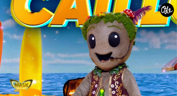 Qui se cachait derrière ce costume ?

Le Caillou dans mask Singer 9 - capture d'écran TF1
