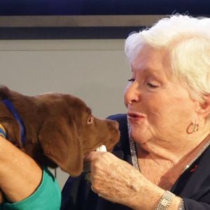 Line Renaud - 6ème remise du prix "Fonds de dotation Line Renaud-Loulou Gasté" pour la recherche médicale à la Maison de la Recherche à Paris le 25 novembre 2024. 
© Coadic Guirec/Bestimage
