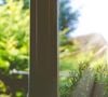 Mais heureusement, on a trouvé pour vous la plante à placer sur le rebord de votre fenêtre pour les tenir à distance !

Photo : Adeolu Eletu