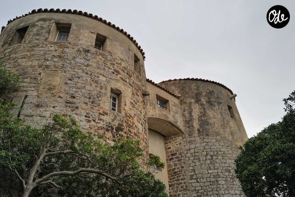 Bormes-les-Mimosas, où réside Michel Sardou, vient d'être élu Village préféré des Français 2026, une première historique pour la région Provence-Alpes-Côte d'Azur. 

Photo : Grandguillot Laurent/Pool/ABACA