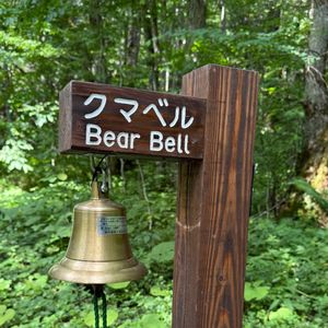 Julian Bugier a partagé des photos de son voyage au Japon en story Instagram.