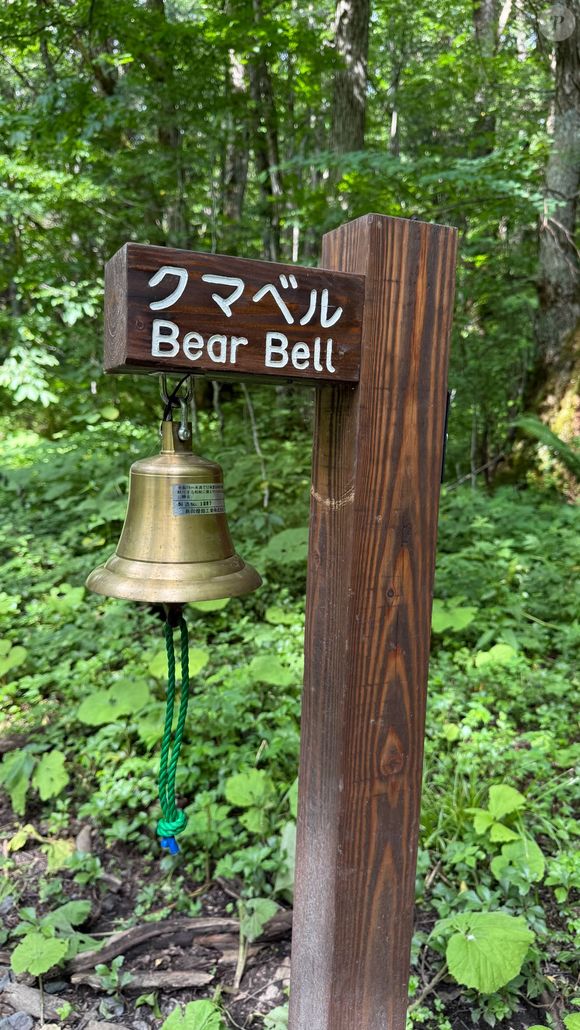 Julian Bugier a partagé des photos de son voyage au Japon en story Instagram.