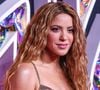 À 49 ans, Shakira suit une routine particulièrement stricte pour concilier sa carrière musicale et sa vie de mère de famille.

Shakira lors du photocall de la cérémonie des MTV Video Music Awards au Prudential Center de Newark, dans le New Jersey, aux États-Unis.

© Backgrid USA / Bestimage