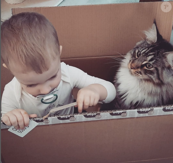 Ragnarök, le chat de Laëtitia Provenchère ("Familles nombreuses")