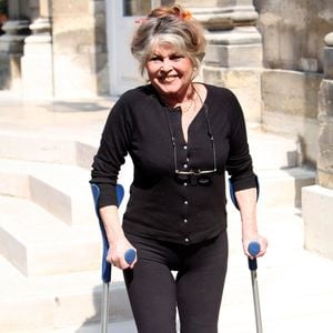 Brigitte Bardot rencontre au nom de son association le ministre de l'agriculture Dominique Bussereau autours des thèmes suivants : Comment endiguer la surpopulation des animaux de compagnie en France, obligation d'étourdissement lors des abattages rituel, réforme de l'élevage des poulets de chair le 11 mai 2006  © JSB/Pixplanete/Bestimage