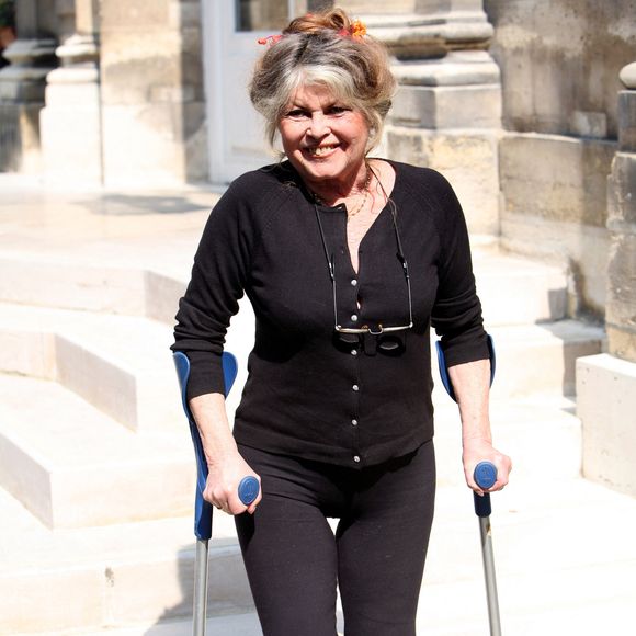 Brigitte Bardot rencontre au nom de son association le ministre de l'agriculture Dominique Bussereau autours des thèmes suivants : Comment endiguer la surpopulation des animaux de compagnie en France, obligation d'étourdissement lors des abattages rituel, réforme de l'élevage des poulets de chair le 11 mai 2006  © JSB/Pixplanete/Bestimage