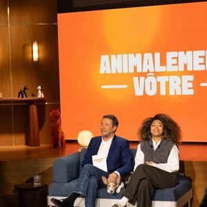 Exclusif - Bernard Montiel, Raphaël Mezrah, Oli. avec Charles Berling et Charles Edouard Fusari invités, Olivia Juriste et Sylvain Vétérinaire sur plateau de l'émission "Animalement Vôtre" présentée par Bernard Montiel et diffusée le XXX sur France 3, à Paris, France, le 12 janvier 2026. © Julien Sarkissian/Bestimage