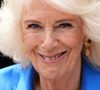 Fidèle à sa passion pour les livres, Camilla s’implique personnellement dans ce projet, malgré son habitude de ne pas intervenir dans les infrastructures royales.

La reine Camilla (Camilla Parker Bowles, reine consort d’Angleterre) visite le refuge Battersea Dogs and Cats Home afin d’inaugurer le “Dog Garden” de la Royal Horticultural Society (RHS) et de BBC Radio 2, conçu par Monty Don et récemment installé au centre londonien de l’association, à Battersea, Londres, Royaume-Uni, le 14 juillet 2025. © Julien Burton / Bestimage