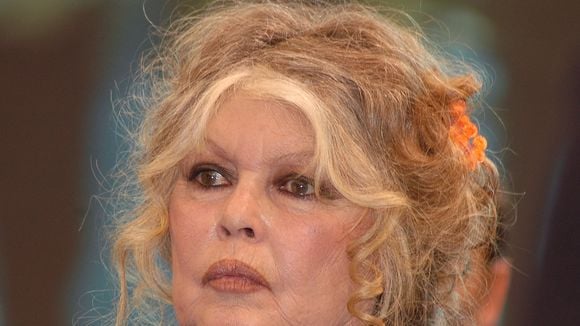 Convalescence agitée pour Brigitte Bardot après ses semaines de prise en charge : les décisions de sa fondation au cœur de l'affaire