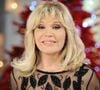 Depuis la sortie de son titre Redlights, certains auditeurs ont remarqué des ressemblances avec The Sphinx, le célèbre titre d'Amanda Lear sorti en 1978

Exclusif - Amanda Lear - Enregistrement de l'émission "Vivement Dimanche" présentée par M.Drucker et diffusée le 23 décembre 2018 sur France 2. Le 12 décembre 2018
© Guillaume Gaffiot / Bestimage