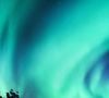 Les amateurs d’aventure pourront explorer les fjords en croisière, randonner jusqu’au spectaculaire Preikestolen ou au vertigineux Trolltunga, ou encore s’enfoncer dans les vastes forêts du pays. 

Les aurores boréales sont des attractions extraordinaires qui déplacent en hiver des touristes du monde entier.