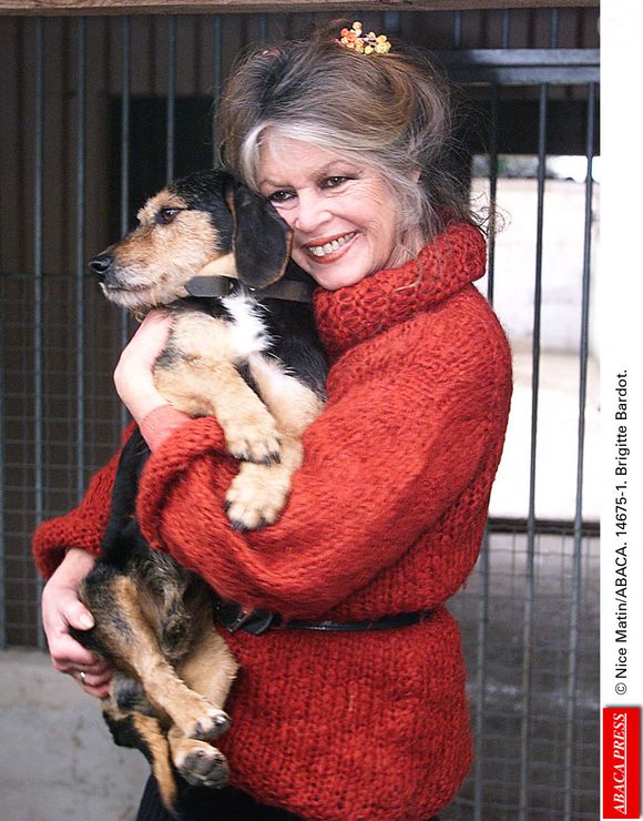 Ces attaques concernent principalement la gestion de la structure et du fonctionnement interne de la Fondation Brigitte Bardot...

© Nice Matin/ABACA. 14675-2. Brigitte Bardot.