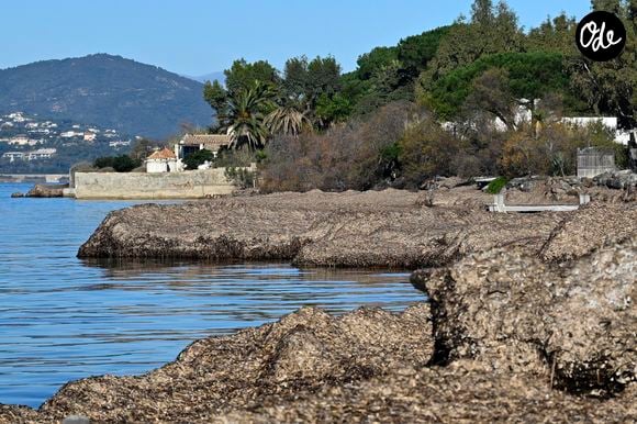 Des bouquets de fleurs déposés devant La Madrague par des admirateurs, en hommage à Brigitte Bardot, à Saint-Tropez, le 29 décembre 2025. Brigitte Bardot est décédée le 28 décembre 2025 à l'âge de 91 ans. © William Cannarella / psnewZ / Bestimage