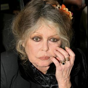 Brigitte Bardot - Noel des animaux de la S.P.A au palais des sports Marcel Cerdan. ©Guillaume Gaffiot/Bestimage