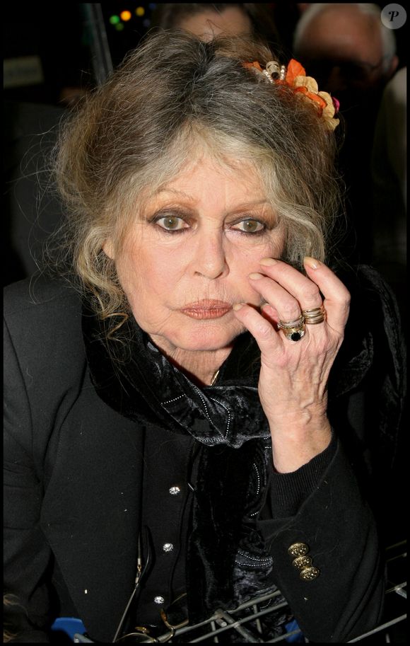 Brigitte Bardot - Noel des animaux de la S.P.A au palais des sports Marcel Cerdan. ©Guillaume Gaffiot/Bestimage