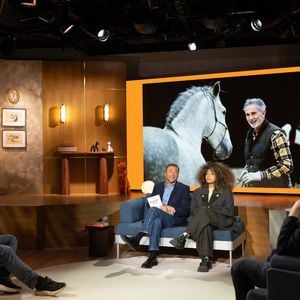 Thierry Lhermitte, Bernard Montiel, Oli, Raphael Mezrahi sur plateau de l'émission "Animalement Vôtre" présentée par Bernard Montiel et diffusée le 22 mars 2026 sur France 3, à Paris, France, le 13 janvier 2026. © Julien Sarkissian/Bestimage