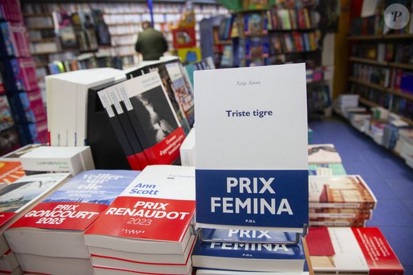 Présentation des livres primes sur un présentoir d'une librairie, prix littéraires, avec le livre de Neige Sinno, "Triste tigre", qui a eu le prix Femina 2023, le livre d'Ann Scott, Les Insolents, prix Renaudot et le prix Goncourt, Veiller sur elle de Jean Baptiste Andrea - Photo by Durand T/ANDBZ/ABACAPRESS.COM