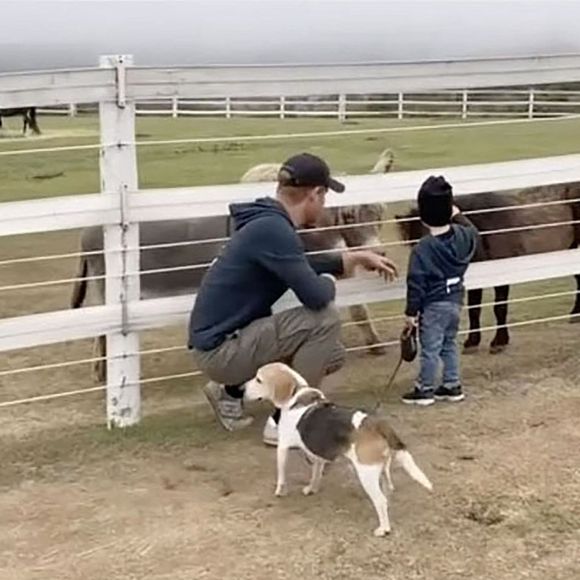 Maman de deux enfants, Archie et Lilibet, fruits de sa relation avec le prince Harry, Meghan Markle a révélé avoir souffert d'une grave pathologie après ses grossesses.

Meghan Markle a annoncé sur ses réseaux le décès de son chien, un Beagle prénommé Guy, adopté en 2015.
©Backgrid UK/ Bestimage