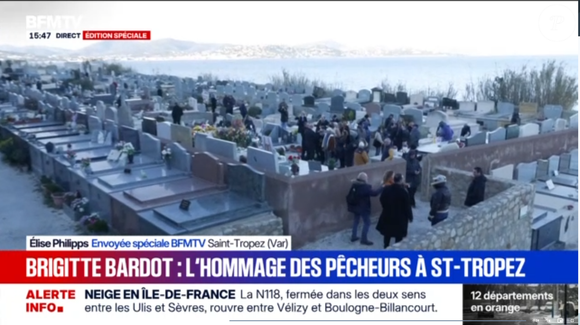 Dernier voyage de Brigitte Bardot, capture d'écran BMFTV