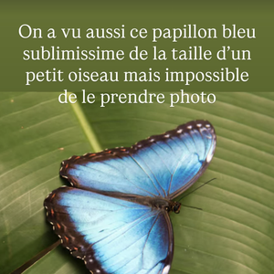 Captures d'écran du compte Instagram d'Agathe Lecaron