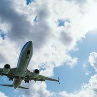Ce bagage à petit prix, conçu pour ces compagnies aériennes spécifiques, fait un carton cet été