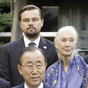 Leonardo DiCaprio, Jane Goodall, Michael Douglas, Ban Ki Moon posent lors de la cérémonie de la cloche de la paix à l'occasion du 35e anniversaire de la Journée internationale de la paix à New York City, NY, USA le 16 septembre 2016. Photo by Marcus Owen/startraks/ABACAPRESS.COM