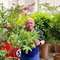"Bienvenue dans les coulisses de mon potager" : Thierry Marx ouvre les portes de sa maison atypique à Paris