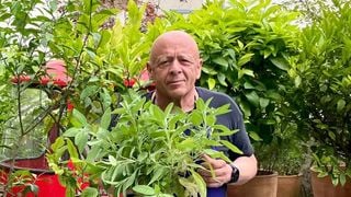 "Bienvenue dans les coulisses de mon potager" : Thierry Marx ouvre les portes de sa maison atypique à Paris
