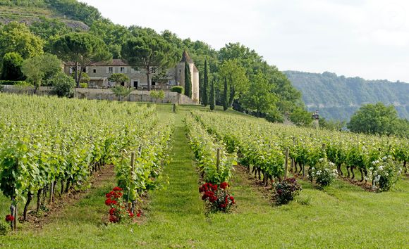 Illustration château Cayx (Caïx)  - Le prince Henrik de Danemark fête ses 80 ans en famille au château de Cayx (Caïx)  près de  Cahors en France, le 11 juin 2014.