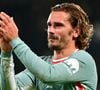 La famille Griezmann prouve une fois de plus que le sens du business est une affaire de sang.

Antoine Griezmann pendant la Champions League avec l'Atletico Madrid.

© Christian Liewig/Bestimage