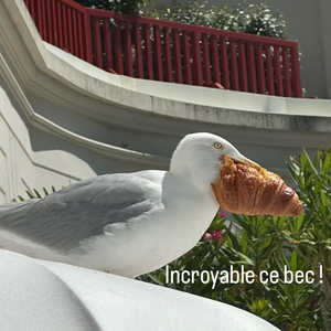 Guillaume Canet se ressource à La Baule
