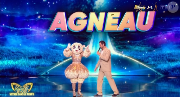 Qui se cachait sous ce costume ?

L'Agneau de Mask Singer 8, capture d'écran TF1