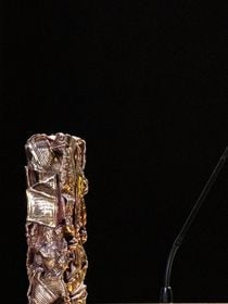 César 2026 : A quoi ressemblait l'atelier du créateur de la statuette dorée, dans un quartier chic de Paris mais sans eau ?