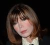 L’artiste a pourtant connu une carrière brillante à la télévision, à la radio et dans la musique.

Isabelle Morizet (Karen Cheryl) au défilé de mode Franck Sorbier à Paris. Le 28 janvier 2015. Photo par Bestimage