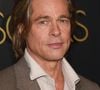 Brad Pitt a accordé une longue interview au magazine "Esquire"

Brad Pitt lors du photocall de la 92ème édition du déjeuner des nominés aux Oscars au Ray Dolby Ballroom à Los Angeles, Californie, Etats-Unis. © Billy Bennight/Zuma Press/Bestimage